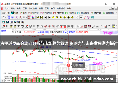 法甲球员转会动向分析与市场趋势解读 影响力与未来发展潜力探讨