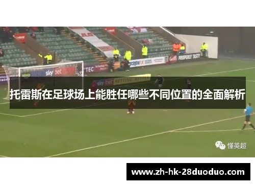 托雷斯在足球场上能胜任哪些不同位置的全面解析